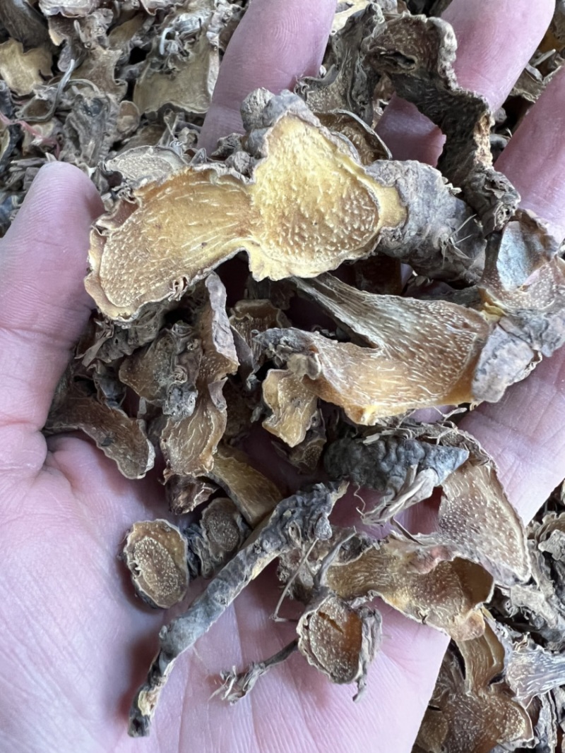 射干各种规格品质都有！射干片切片过筛