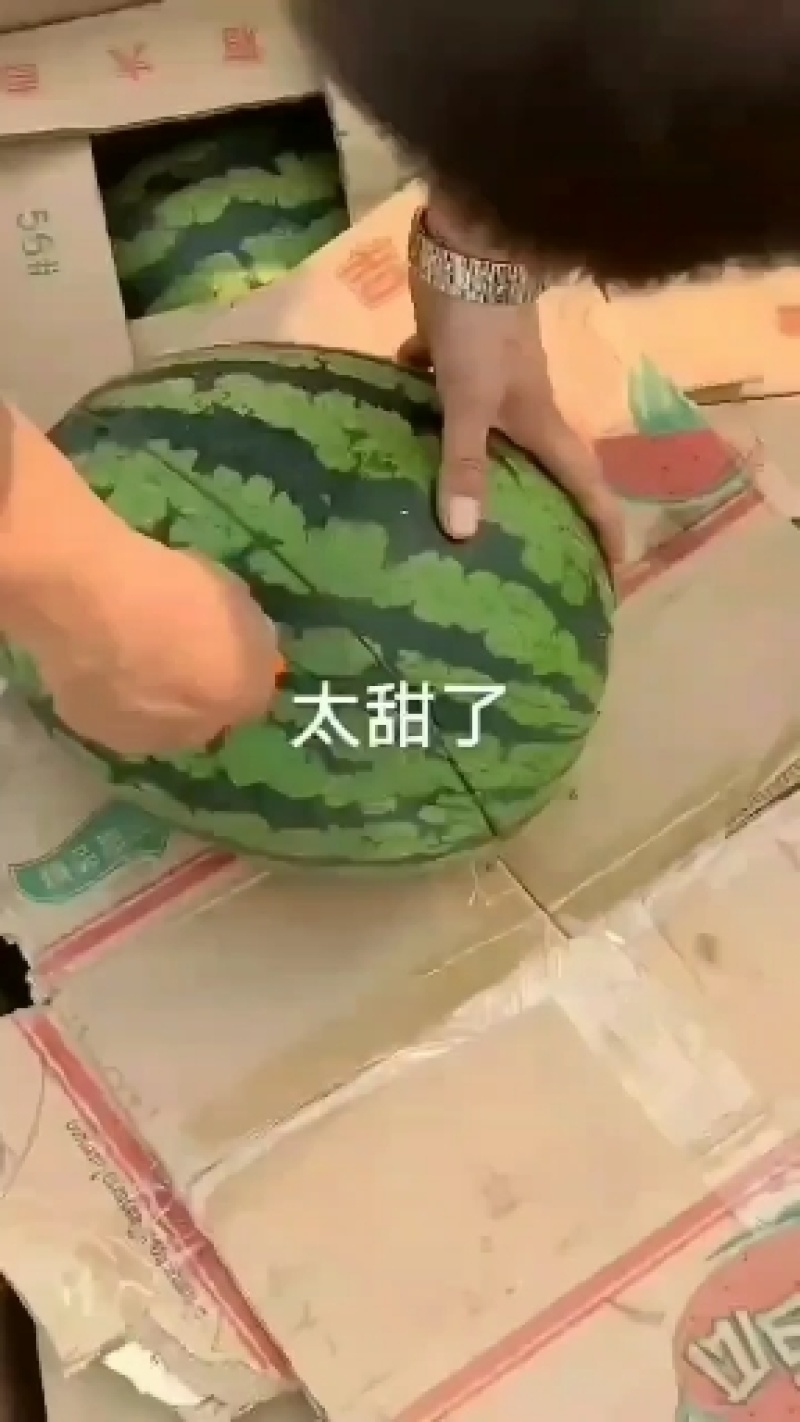 帝王一号甜王西瓜种子抗病抗裂含糖量高易管理不倒瓤少籽