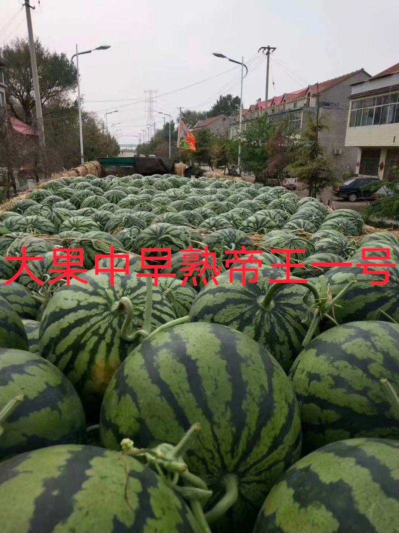 帝王一号甜王西瓜种子抗病抗裂含糖量高易管理不倒瓤少籽