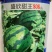 中华甜王西瓜种子杂交一代中早熟品种