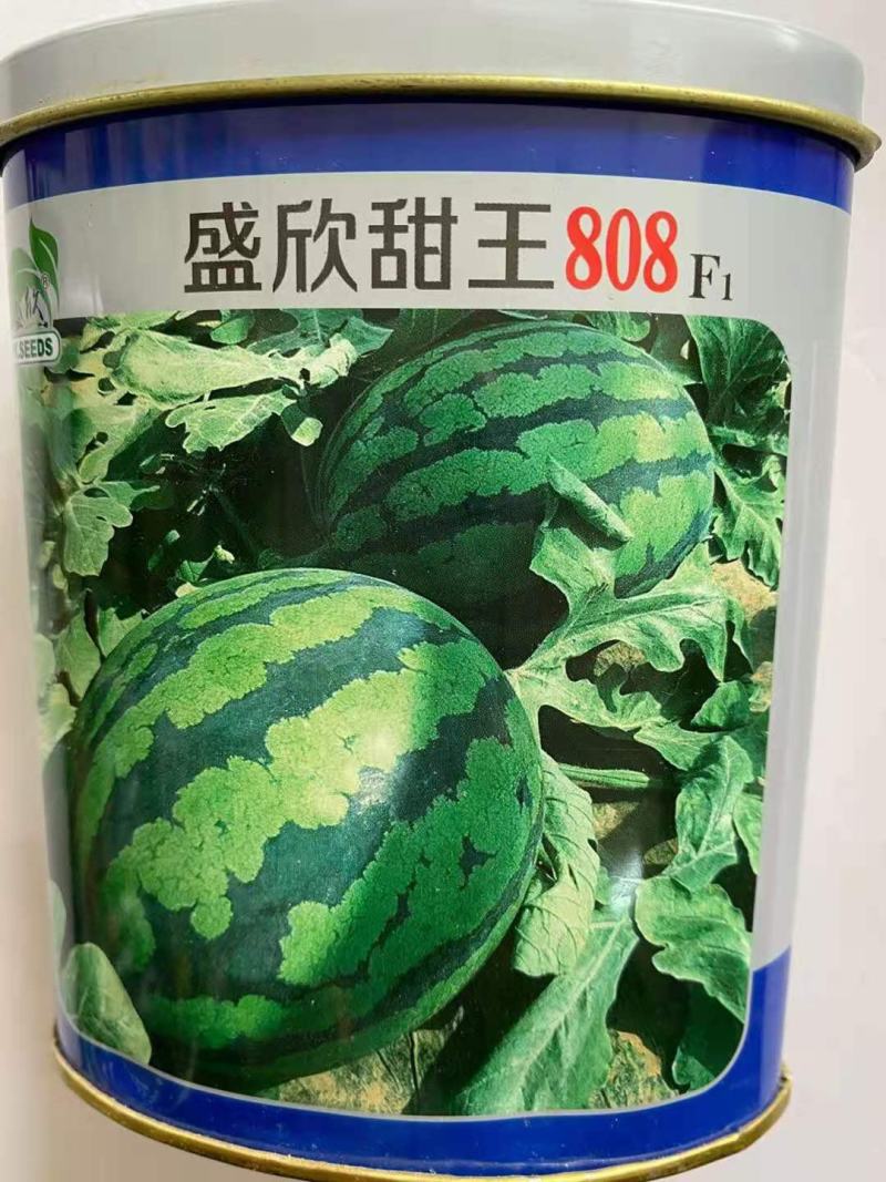 中华甜王西瓜种子杂交一代中早熟品种