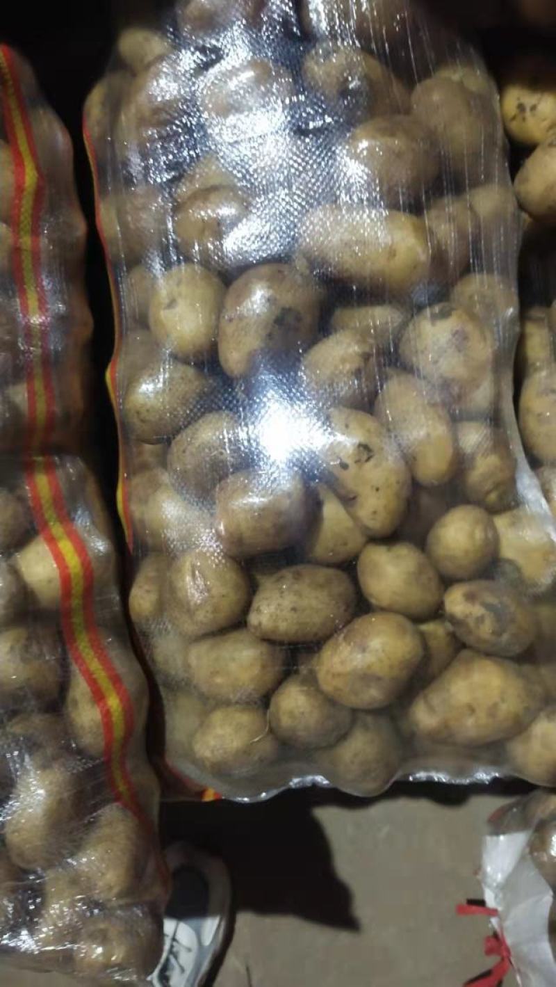 山东精品土豆荷兰十五土豆，产地直发，物美价廉，全国发货