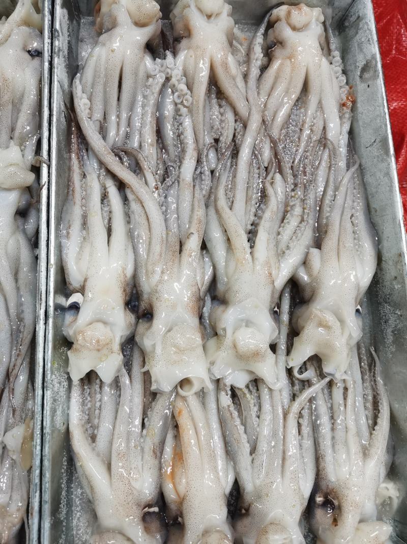 鱿鱼头，鱿鱼须，船冻原料头，原汁不泡水20斤一件