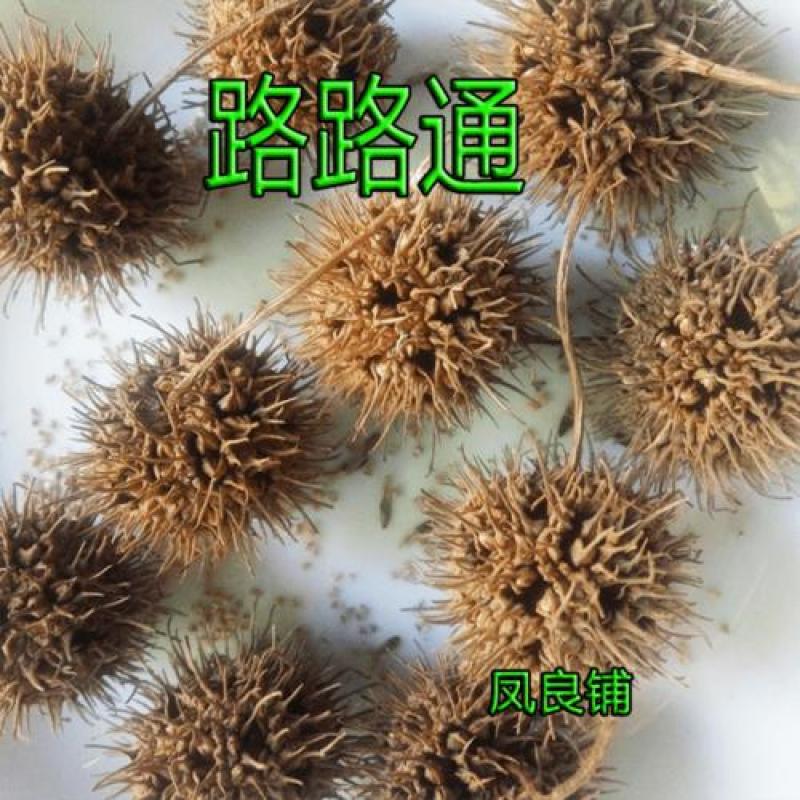 路路通，六六通，枫球子，枫树球，枫实中