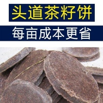 新鲜头道茶籽饼杀虫消毒洗碗洗头清塘用途广泛成本低批发价优