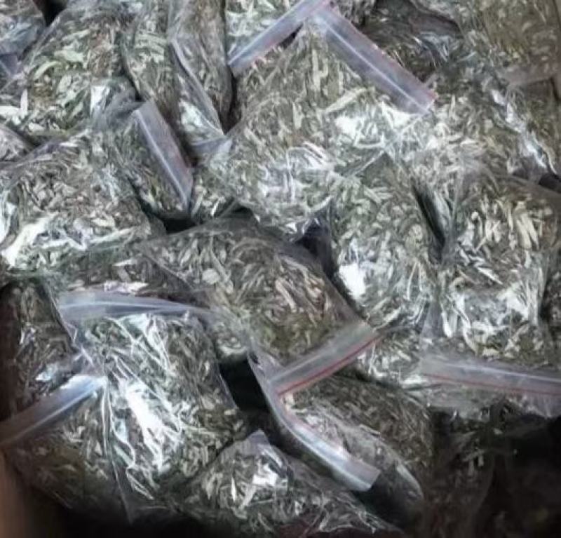 沙棘叶沙棘干叶沙棘沙棘茶沙棘叶子小果沙棘叶