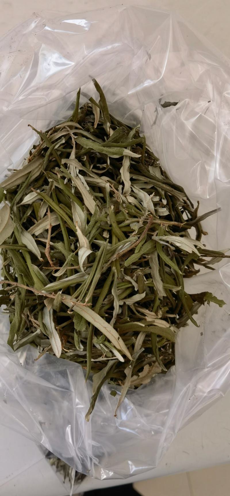沙棘叶沙棘干叶沙棘沙棘茶沙棘叶子小果沙棘叶