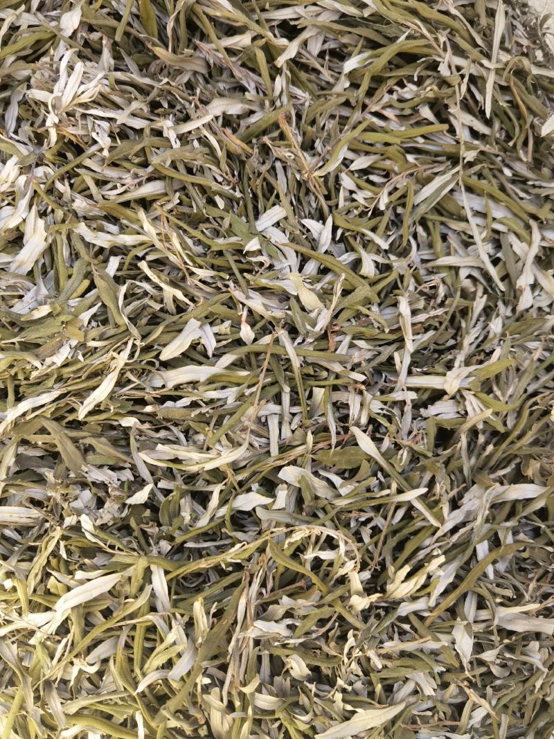 沙棘叶沙棘干叶沙棘沙棘茶沙棘叶子小果沙棘叶
