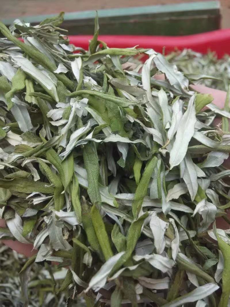 沙棘叶沙棘干叶沙棘沙棘茶沙棘叶子小果沙棘叶