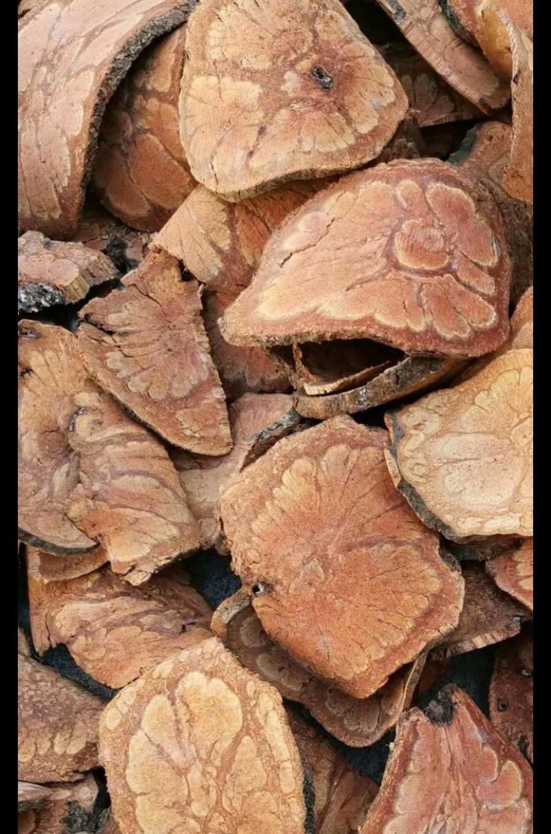 大量九龙藤鲜货干货都有