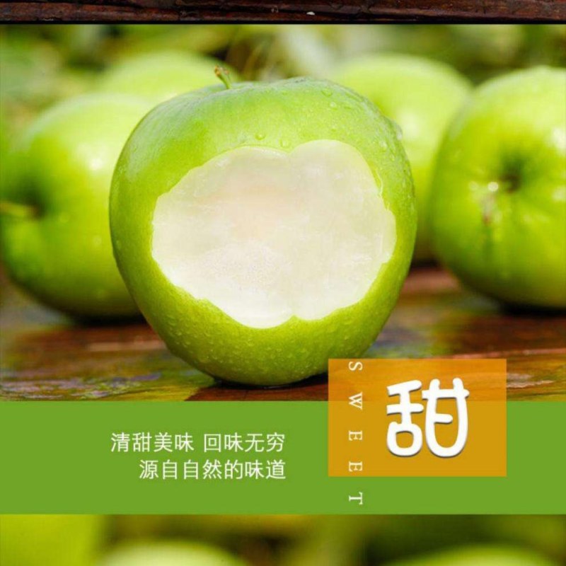 大青枣苗苹果枣苗嫁接苗挂果快果子大个脆甜好吃高产品种