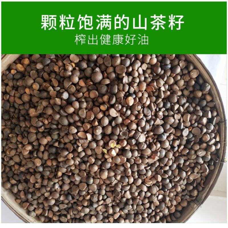 邵阳县茶油之乡-高山珍珠山茶油浓香醇厚纯茶油批发零售代理