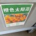 重瓣太阳花种子喜阳植物花坛绿化