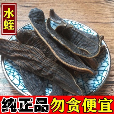 水蛭干片中药材水蛭蚂蟥干宽体金线水蛭整条非清水吊