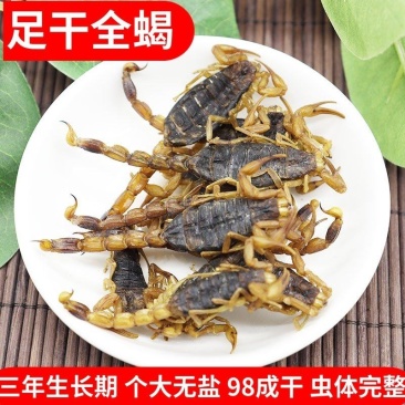 全蝎中药材蝎子全虫正宗清水蝎子干货可直接打粉