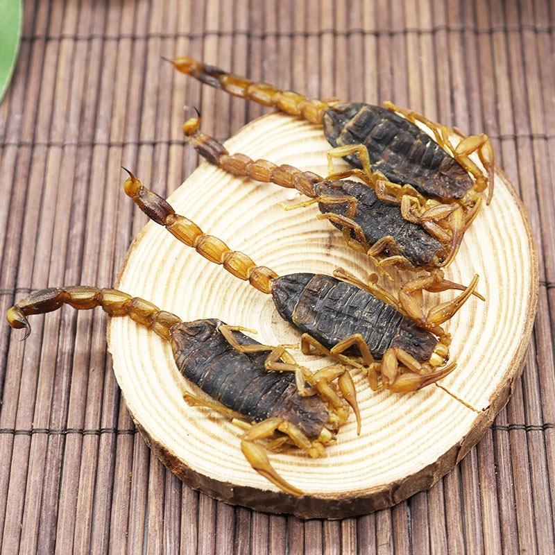 全蝎中药材蝎子全虫正宗清水蝎子干货可直接打粉