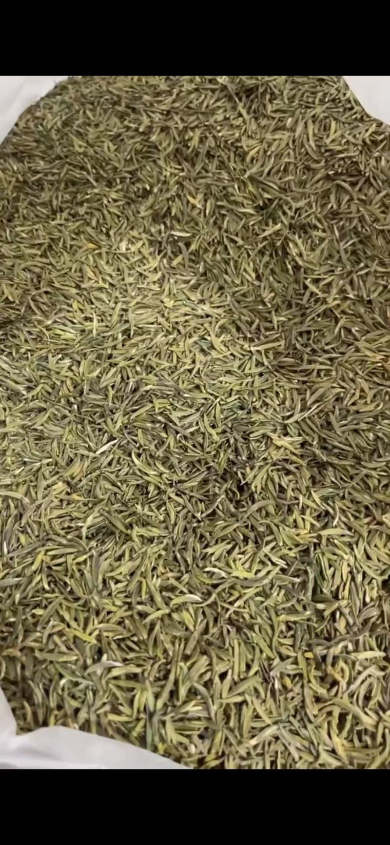 茶叶