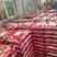 固镇草莓红颜草莓，每天2000斤到八千斤可供商超