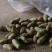 新疆绿源种植农民专业合作社种植的青罗卜黄罗卜红心罗卜