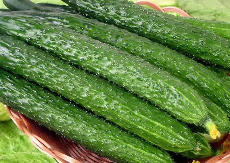 青瓜18~22公分鲜花带刺货源足条形好