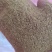 开胃宝，替代玉米，麸皮。节省成本，适合鸡鸭鹅牛羊猪水产。