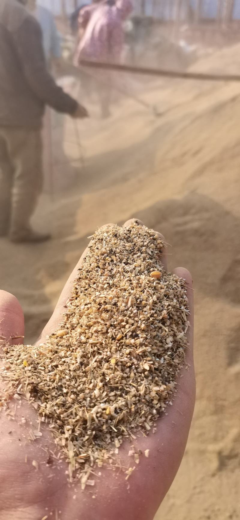 碎小麦，适合鸡鸭鹅猪牛羊养殖使用。质量保证。