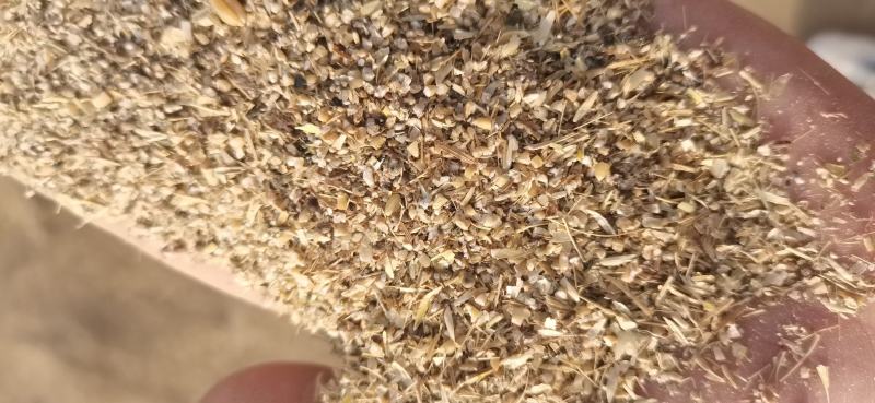 碎小麦，适合鸡鸭鹅猪牛羊养殖使用。质量保证。