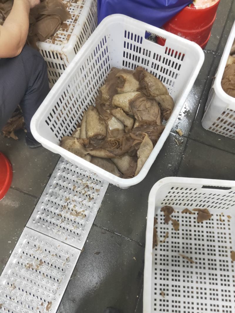 毛肚个黑个牛百叶整个带底板厂家对接商超餐连锁量大稳定好