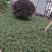 日本矮麦冬草（玉龙草）草坪界的王者风范，庭院、别墅、高档