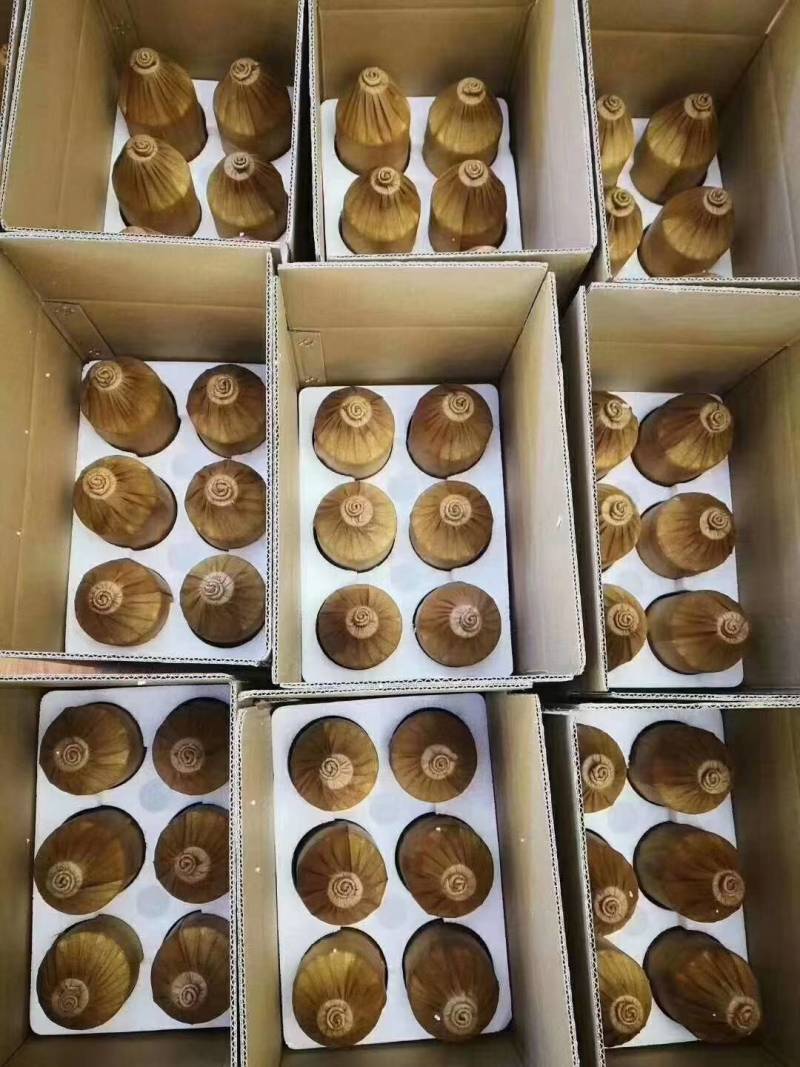 MT镇53°散装酒包装简约，内在酒质，贵在酒体