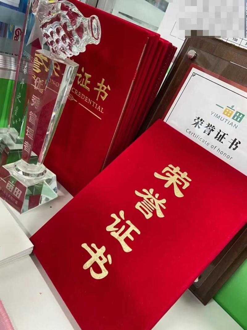 海南海沙地晓蜜25号哈蜜瓜可供各大市场，平台商超！