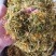 中药材金银花，五彩花，批发零售，产地发货，支持线上交易