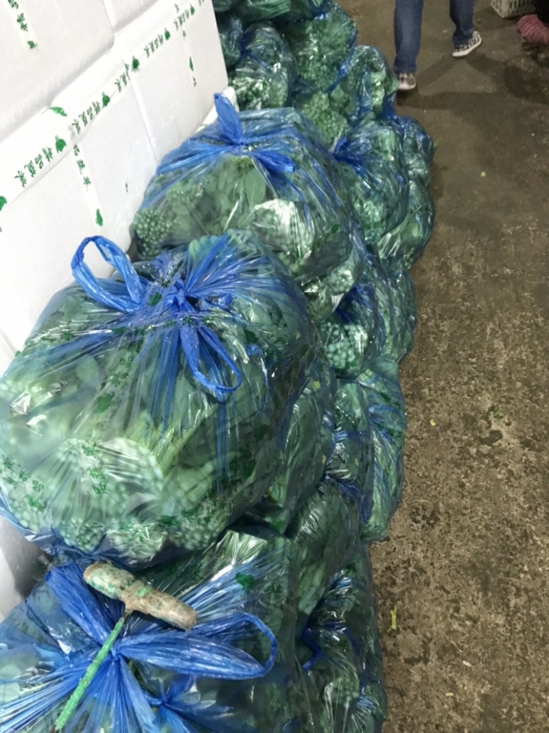 精品白菜芯，油菜苔，货源充足，产地直供，欢迎来电咨询