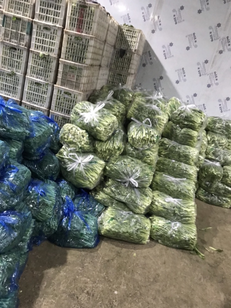 精品白菜芯，油菜苔，货源充足，产地直供，欢迎来电咨询