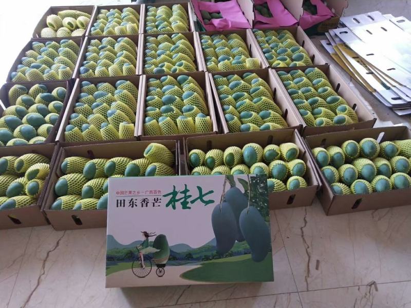 桂七芒，广西独有品种，自家果园