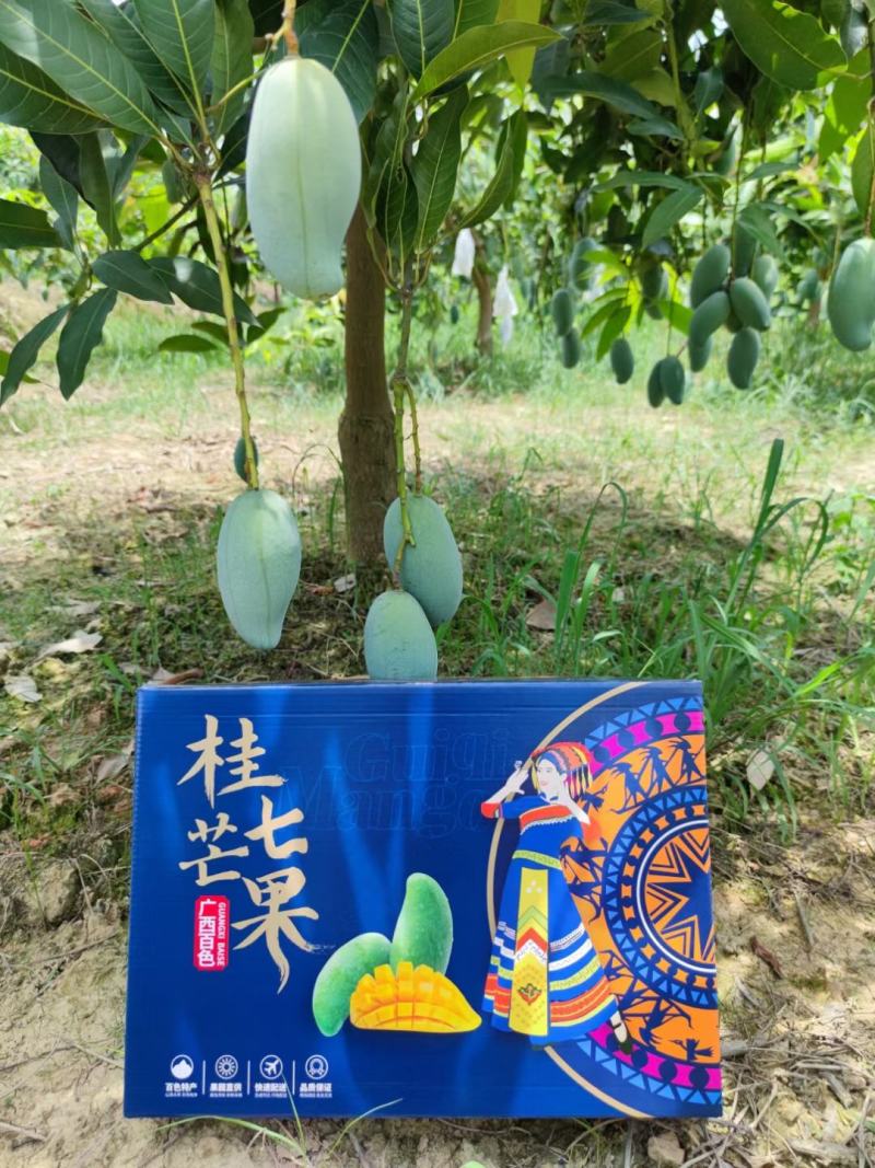桂七芒，广西独有品种，自家果园