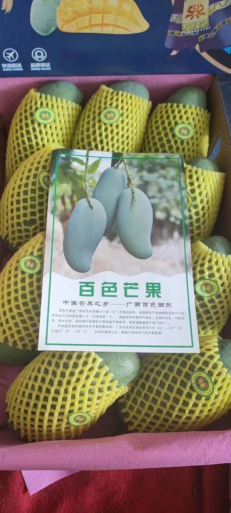 桂七芒，广西独有品种，自家果园