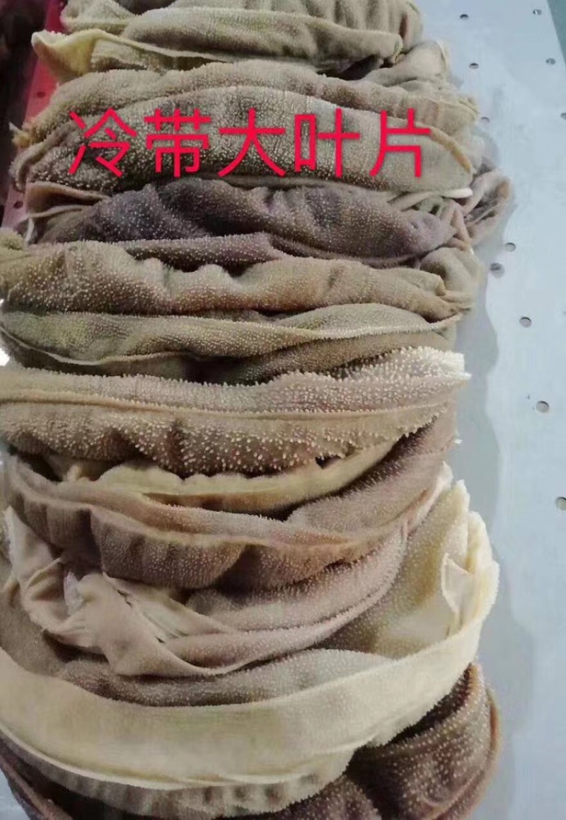 毛肚大叶片