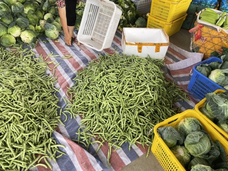 瓜类蔬菜
