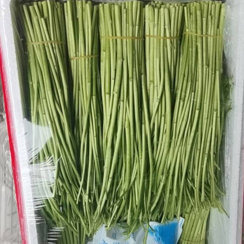 精品芦蒿