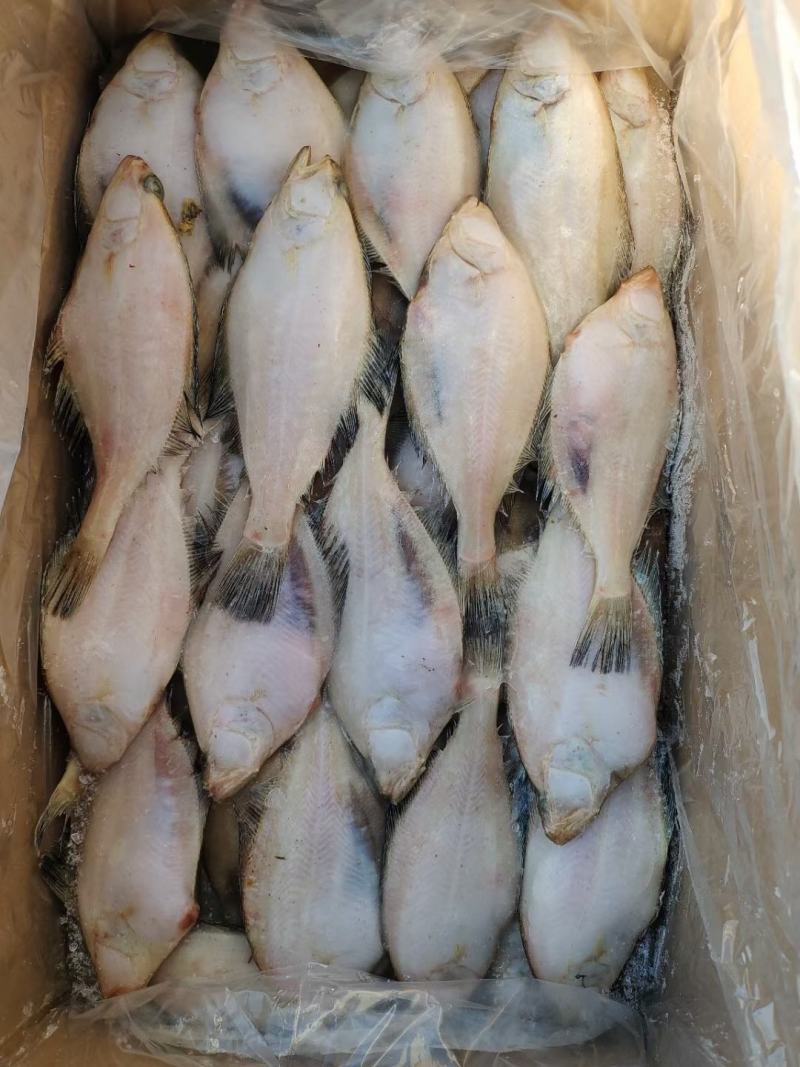 50/100克长脖，偏口鱼，个头匀称，真正的本地货