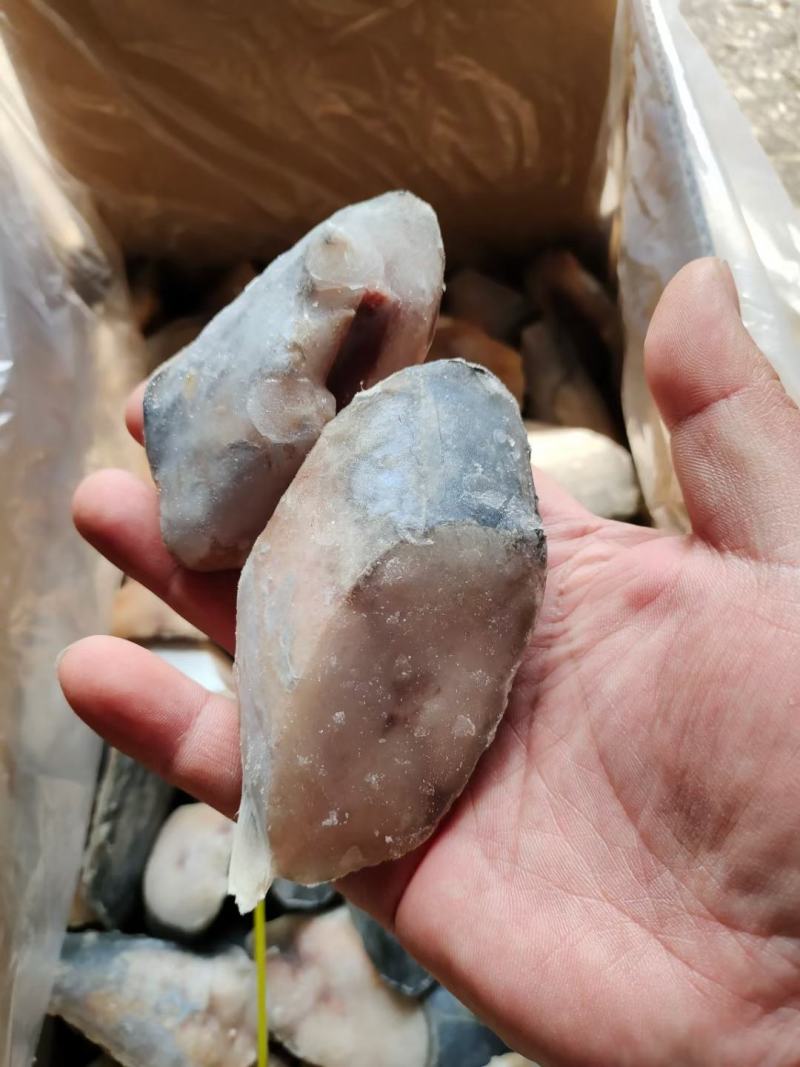 鲅鱼段，一箱十斤，保护冰衣，食堂快餐自助餐用都可以