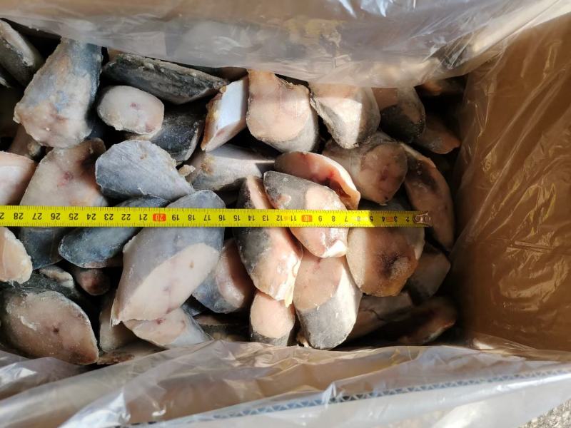 鲅鱼段，一箱十斤，保护冰衣，食堂快餐自助餐用都可以