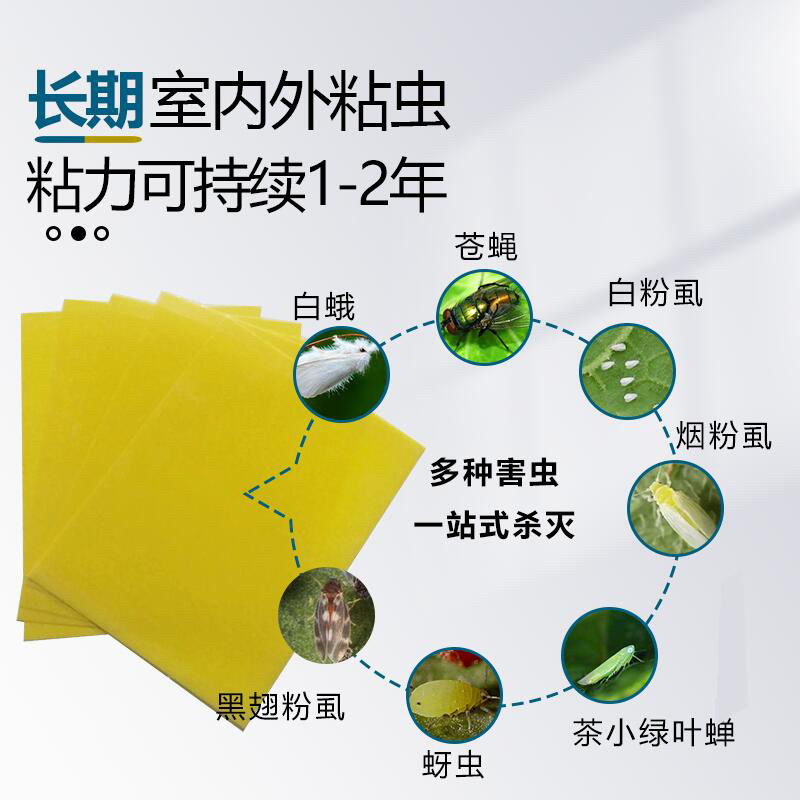 双面防水粘虫板诱虫板黄板果园大棚小黑飞粘板蓝板粘蓟马