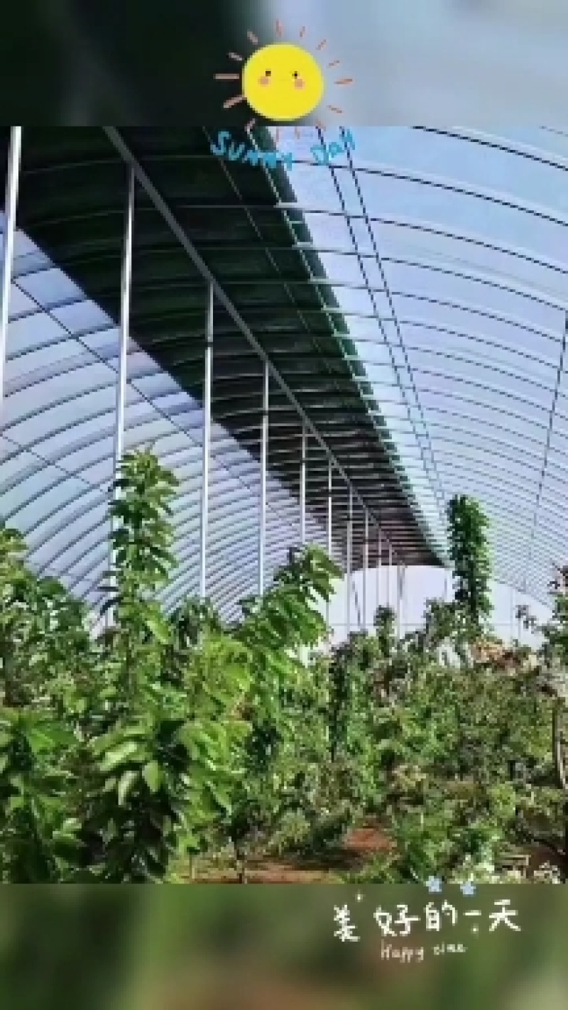 种植大棚蔬菜冬季暖棚种植棚大棚钢架管蔬菜种植棚