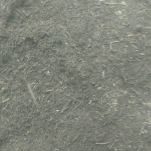 山西省阳泉市盂县花妈妈花土基地，纯松针腐植花土，