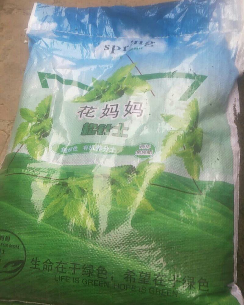 山西省阳泉市盂县花妈妈花土基地，纯松针腐植花土，
