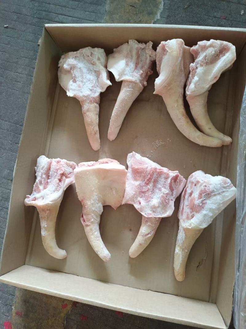 精品优质一级猪尾骨，多种规格，货品齐全，手续齐全新货