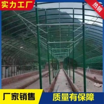 养殖大棚镀锌管包塑养殖棚养牛棚养羊棚养猪棚