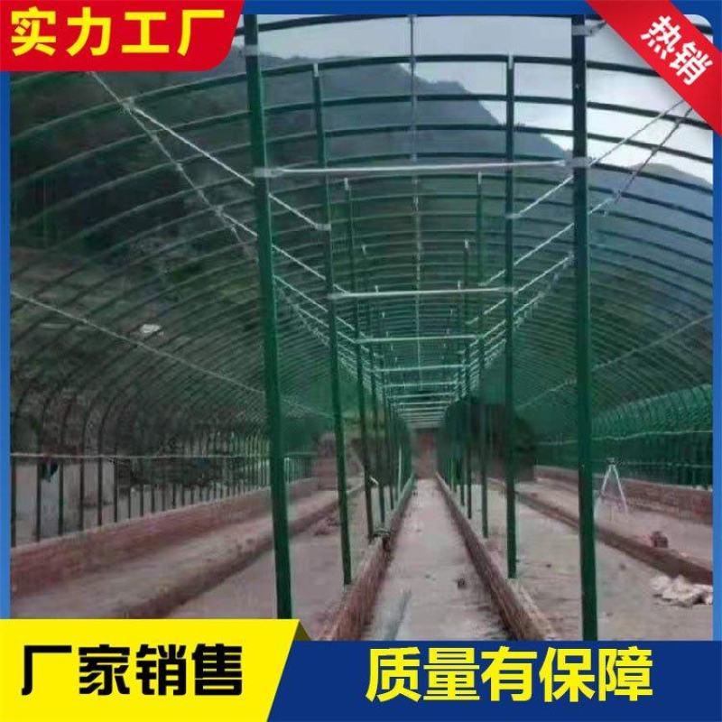 养殖大棚镀锌管包塑养殖棚养牛棚养羊棚养猪棚